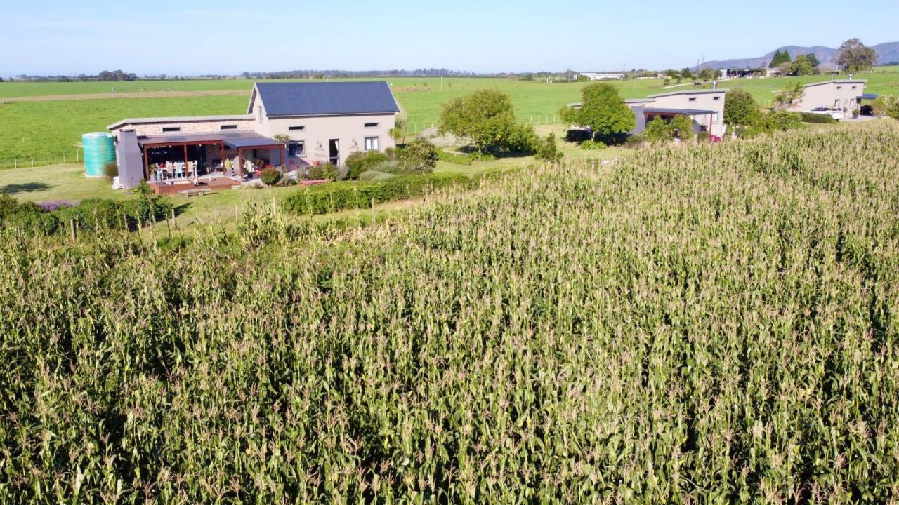 Libertas Guest Farm Farm stay *