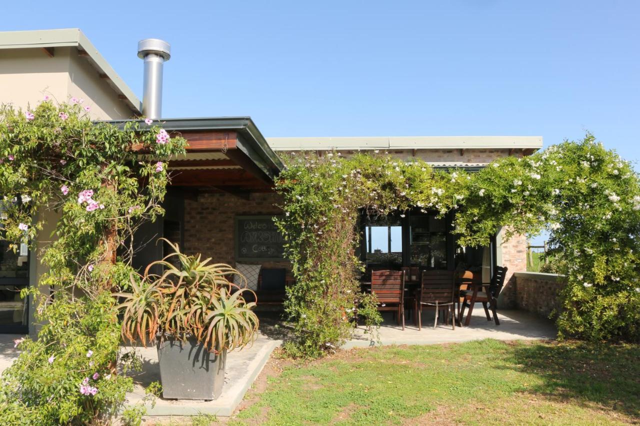 Libertas Guest Farm Farm stay Hoekwil